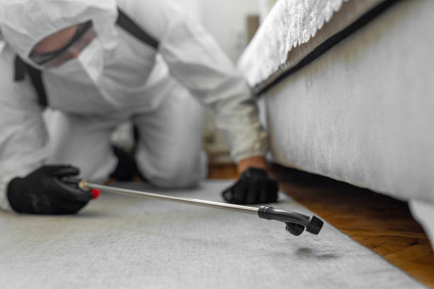 Professional Bed Bug Control technician working in Fremont, MI
