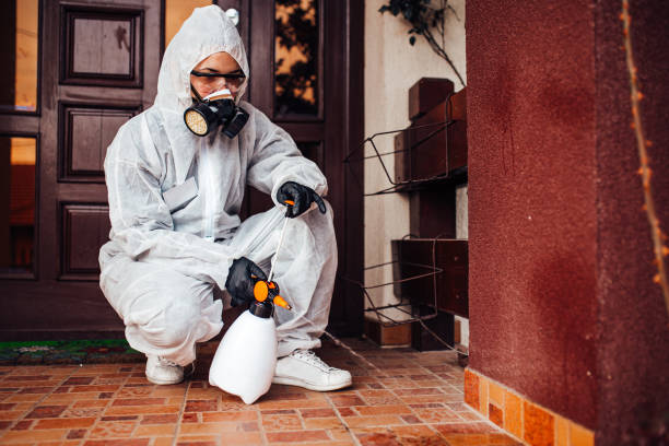 Reliable Bed Bug Control contractor in Fremont, MI by Nex Pest Control