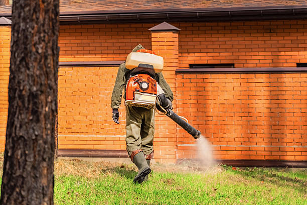 Top rated local Bed Bug Control specialists in Fremont, MI